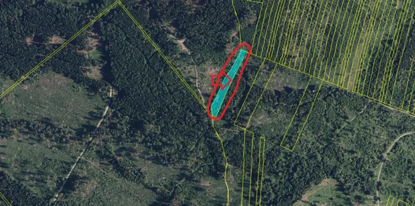 Prodej podílu lesa, Nová Hradečná, 6798 m2