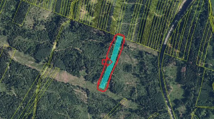 Prodej podílu lesa, Nová Hradečná, 6798 m2