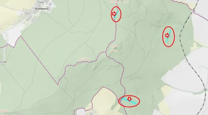 Prodej podílu lesa, Nová Hradečná, 6798 m2