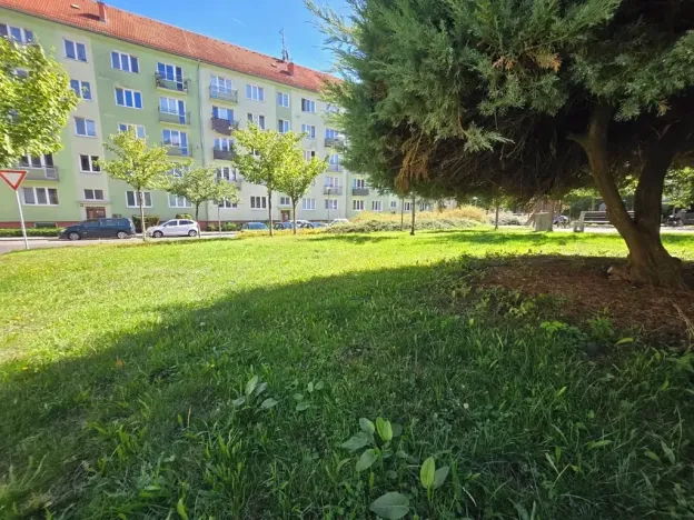 Prodej bytu 2+1, Kynšperk nad Ohří, náměstí SNP, 55 m2