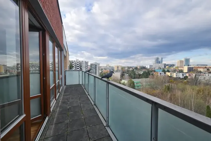 Pronájem bytu 4+kk, Praha - Krč, Hudečkova, 162 m2