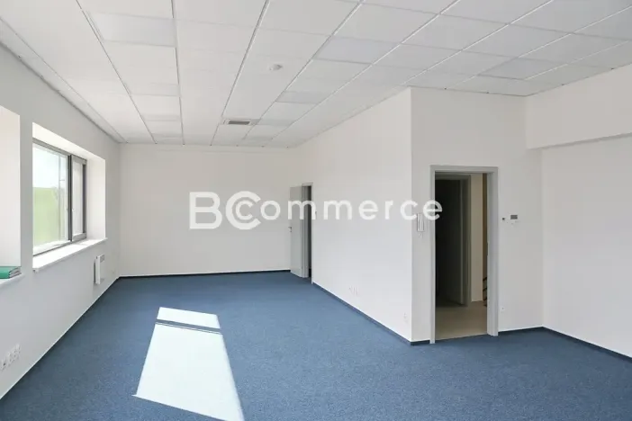 Pronájem skladu, Moravany, Průmyslová, 325 m2