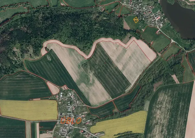 Prodej louky, Brumovice - Úblo, 1160 m2