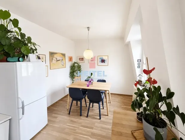Pronájem bytu 2+1, Olomouc, Pekařská, 88 m2