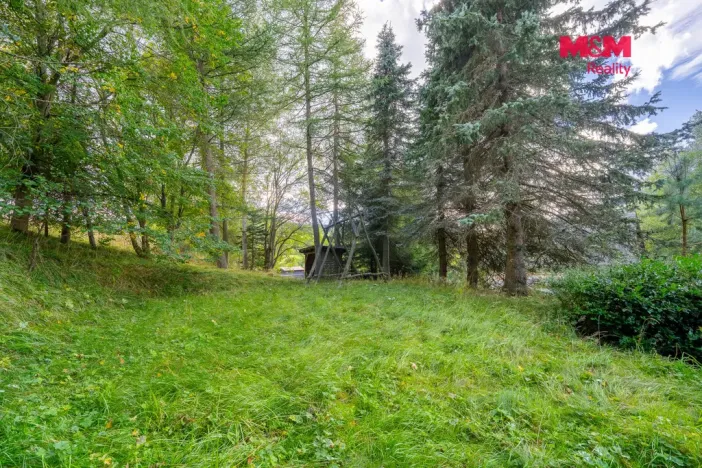 Prodej rodinného domu, Loučná pod Klínovcem - Loučná, 270 m2