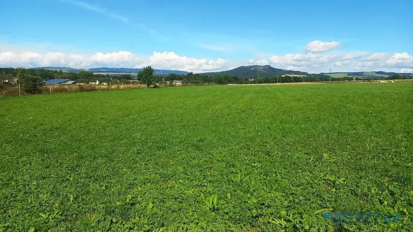 Prodej louky, Police nad Metují, 8790 m2