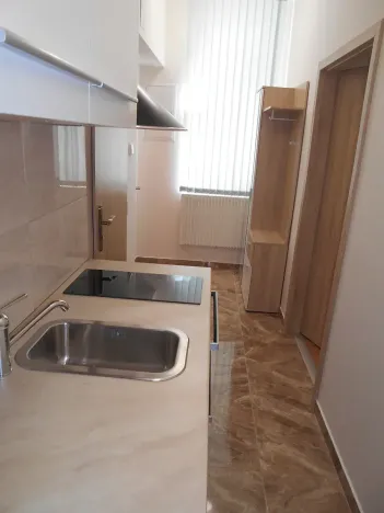 Pronájem bytu 1+kk, Praha - Žižkov, Hájkova, 40 m2