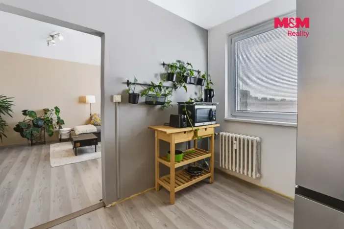 Prodej bytu 2+1, Olomouc - Nové Sady, Werichova, 44 m2