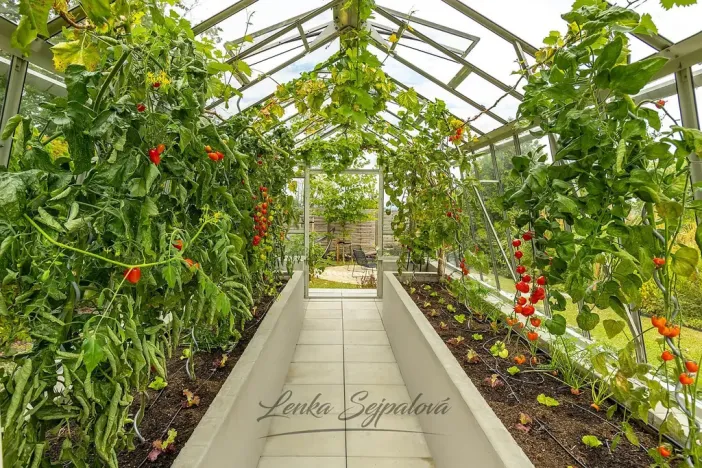 Prodej rodinného domu, Rabštejnská Lhota - Rabštejn, 160 m2