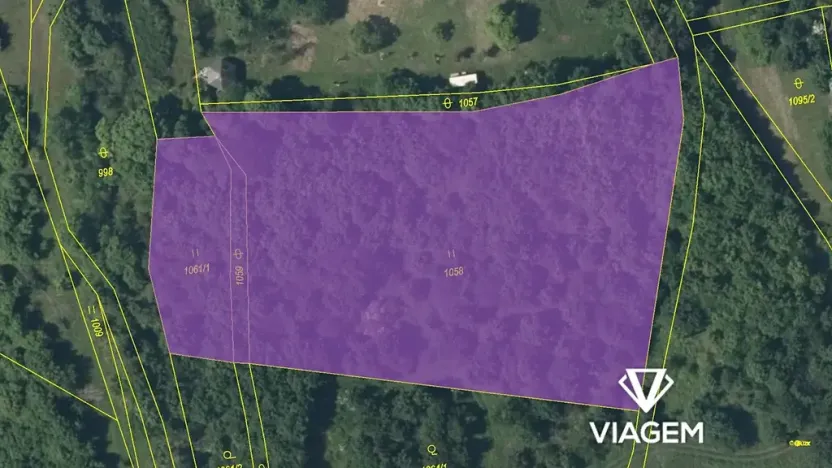 Prodej podílu lesa, Žitenice, 1311 m2