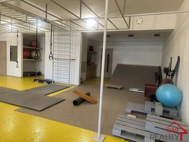 Pronájem ordinace, Napajedla, Dr. Beneše, 375 m2