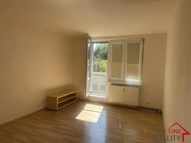 Pronájem bytu 1+1, Staré Město, Kopánky, 35 m2