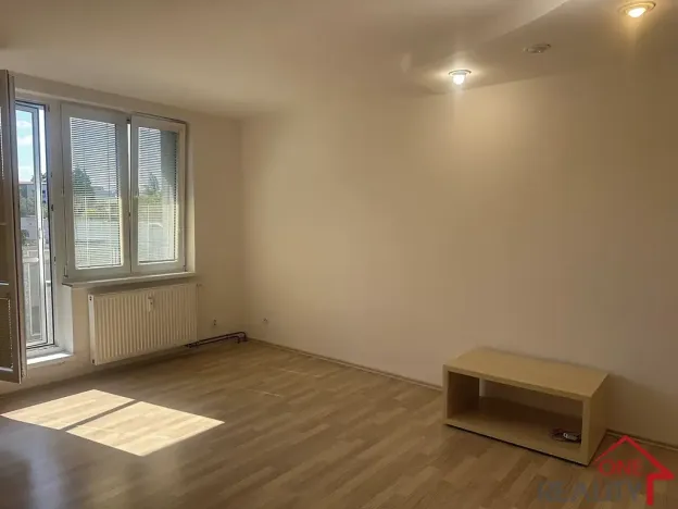 Pronájem bytu 1+1, Staré Město, Kopánky, 35 m2