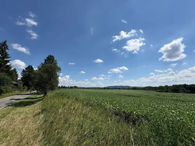 Prodej pozemku pro bydlení, Chocnějovice, 5680 m2