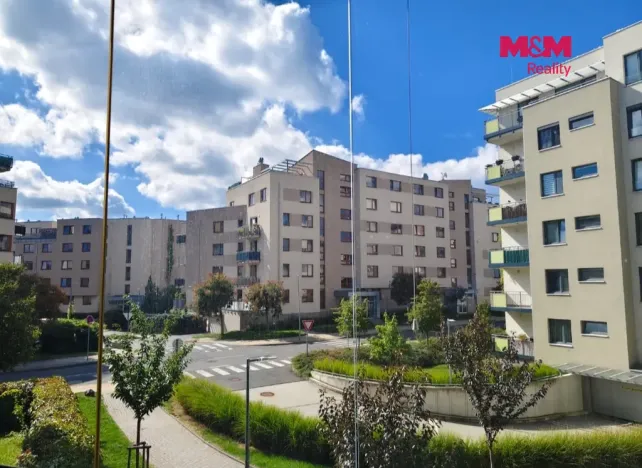 Pronájem bytu 2+kk, Praha, Rižská, 57 m2