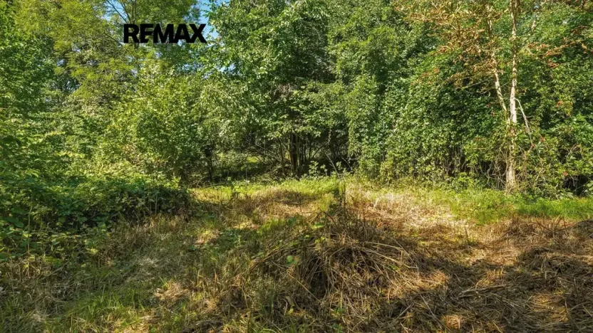 Prodej rodinného domu, Nový Oldřichov, 136 m2