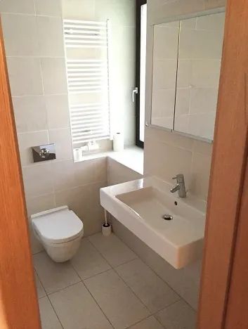 Pronájem bytu 2+kk, Praha - Žižkov, Pitterova, 73 m2