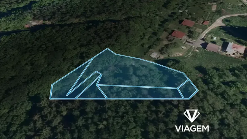 Prodej lesa, Podkopná Lhota, 2034 m2
