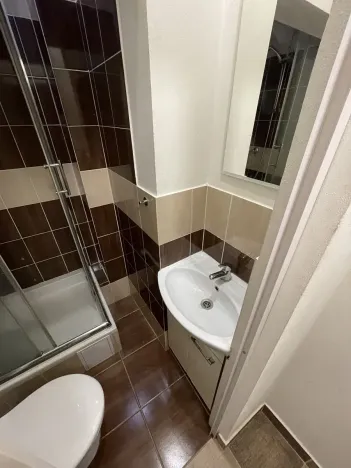 Pronájem bytu 1+kk, Praha - Žižkov, Zelenky-Hajského, 18 m2