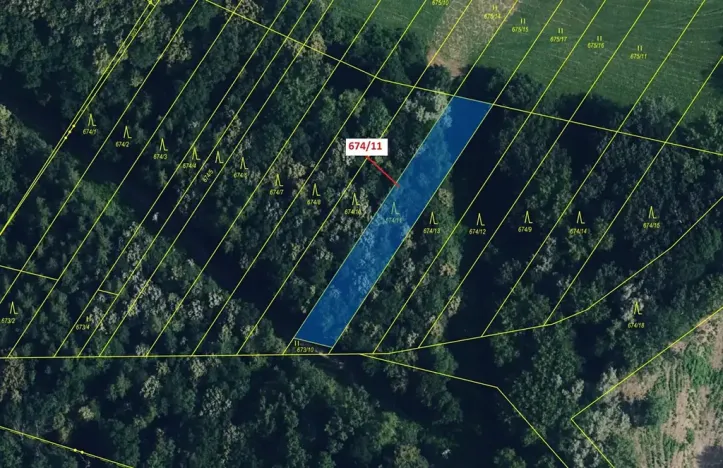 Dražba lesa, Přerov, 1322 m2
