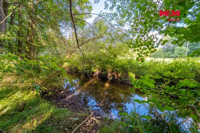Prodej rybníku, Strážov - Opálka, 4011 m2
