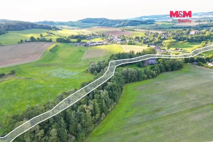 Prodej rybníku, Strážov - Opálka, 4011 m2