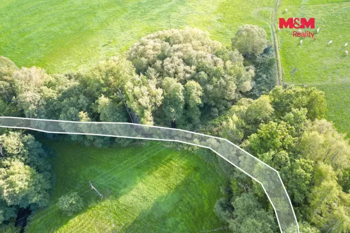 Prodej rybníku, Strážov - Opálka, 4011 m2