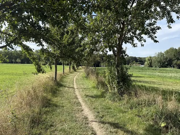 Prodej zahrady, Říčany, Do Lehovic, 2317 m2