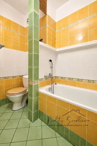 Pronájem bytu 1+1, Přerov, Petřivalského, 39 m2