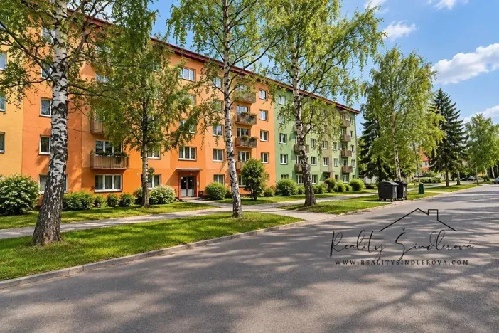 Pronájem bytu 1+1, Přerov, Petřivalského, 39 m2
