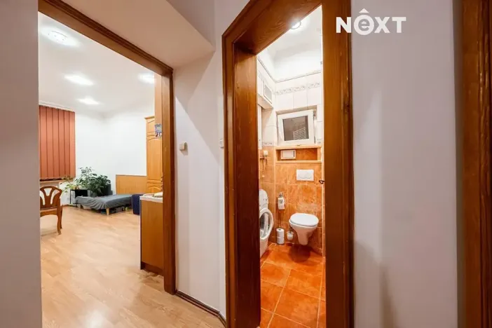 Pronájem bytu 2+kk, Praha - Vinohrady, Přemyslovská, 45 m2