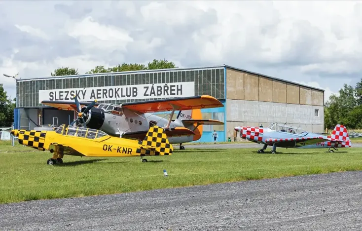 Prodej komerčního pozemku, Dolní Benešov, 8872 m2