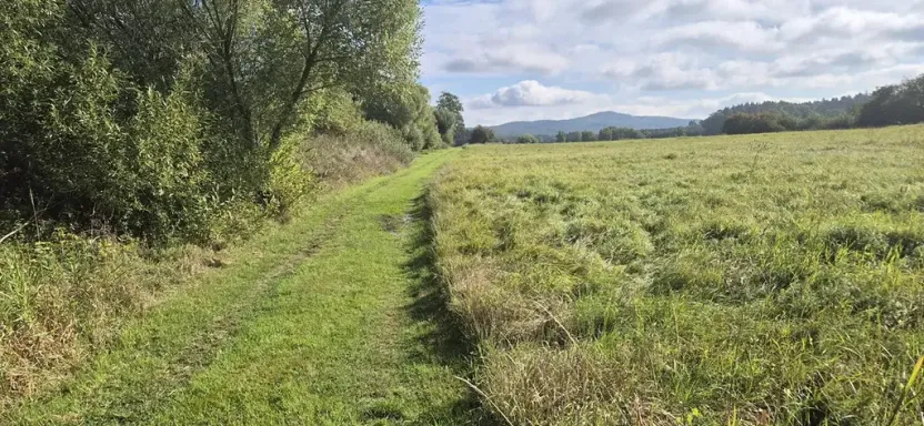 Prodej pozemku pro bydlení, Jestřebí, 1898 m2
