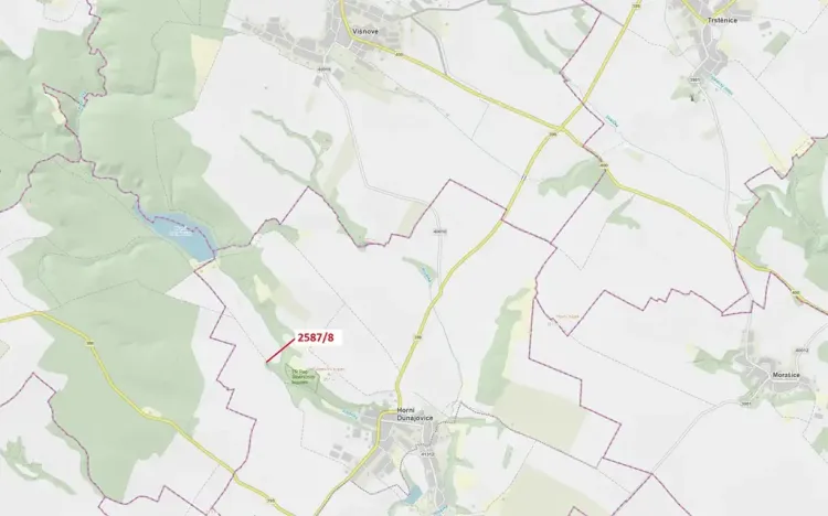 Dražba lesa, Horní Dunajovice, 110 m2