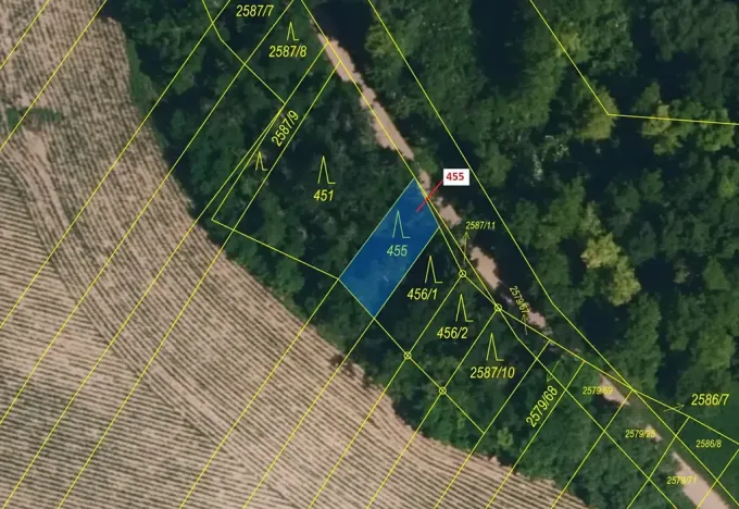 Dražba lesa, Horní Dunajovice, 151 m2