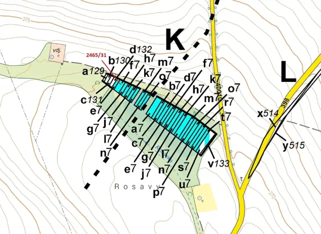 Dražba lesa, Horní Dunajovice, 263 m2