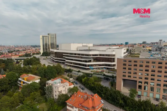 Prodej bytu 1+kk, Praha - Nusle, Krokova, 17 m2