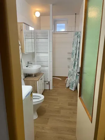 Pronájem rodinného domu, Medlovice, 100 m2