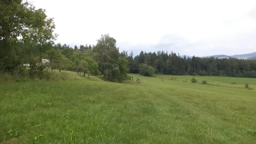 Prodej pozemku, Holubov, 5987 m2