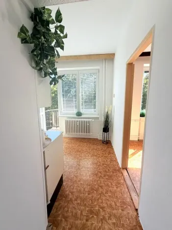 Prodej bytu 1+1, Brno - Lesná, Nejedlého, 38 m2