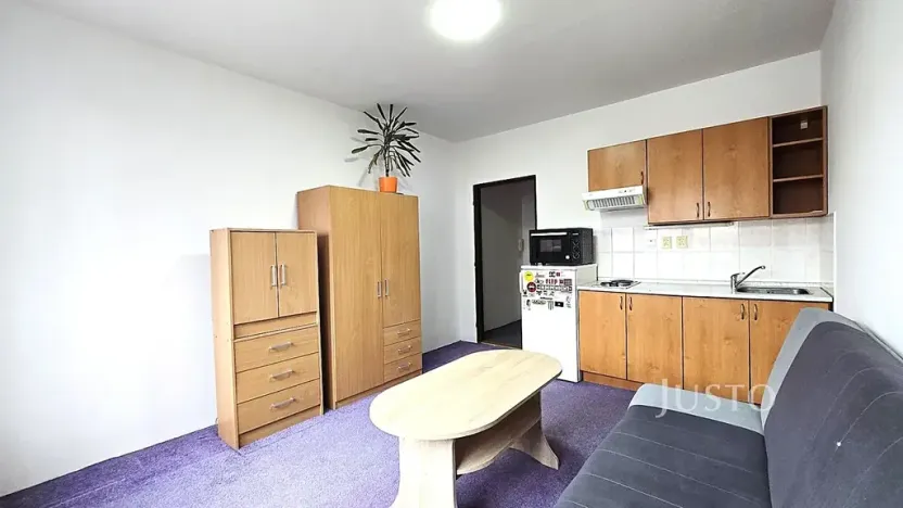 Pronájem bytu 1+kk, Písek, Dr. M. Horákové, 20 m2