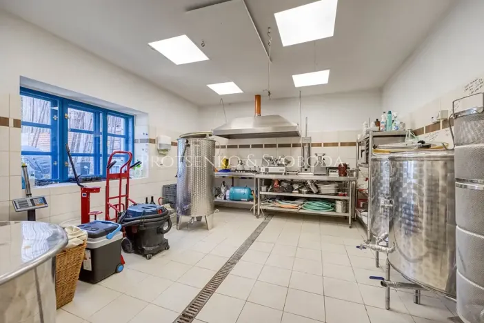 Prodej zemědělské usedlosti, Lhenice, 300 m2