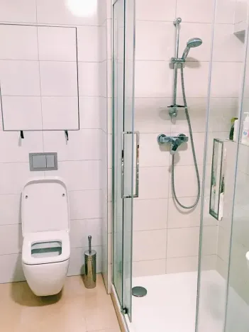 Pronájem bytu 1+kk, Praha - Dejvice, Lindleyova, 42 m2