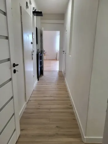 Pronájem bytu 2+1, Brno, Preslova, 50 m2