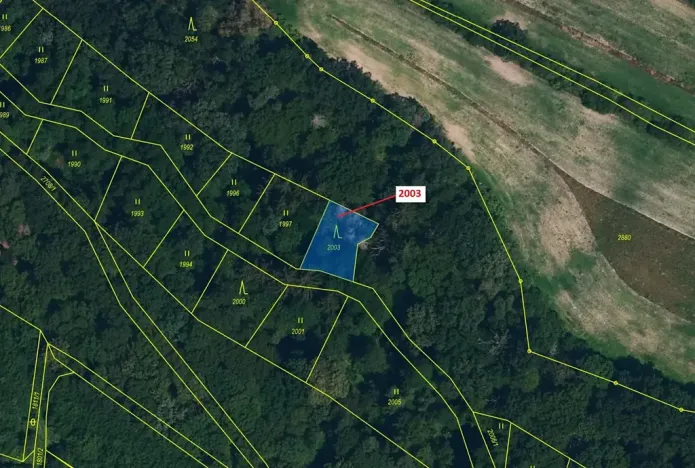 Dražba lesa, Hluboké Mašůvky, 342 m2