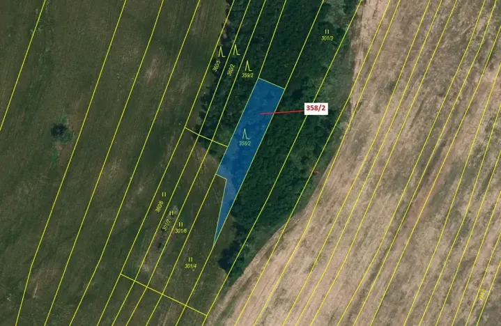 Dražba lesa, Horní Dunajovice, 573 m2