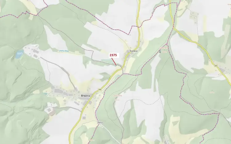 Dražba lesa, Březiny, 303 m2