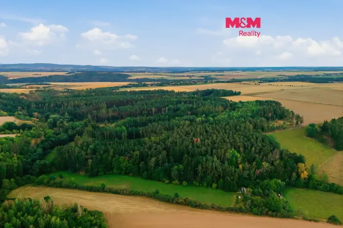 Prodej lesa, Břežany, 3520 m2