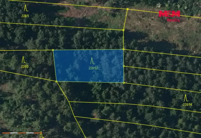 Prodej lesa, Břežany, 3520 m2