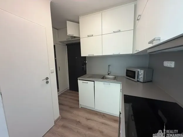 Pronájem bytu 1+1, Praha - Vinohrady, Řipská, 40 m2